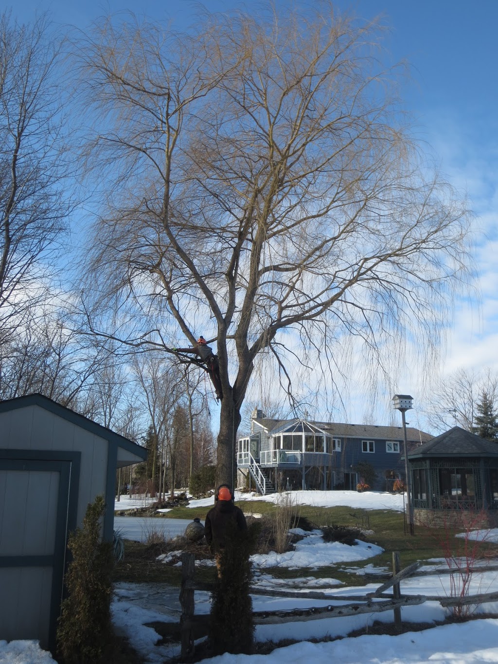 A&J Tree and Shrub Care Inc. | 451 Wilson St, Eden Mills, ON N0B 1P0, Canada | Phone: (519) 856-4226