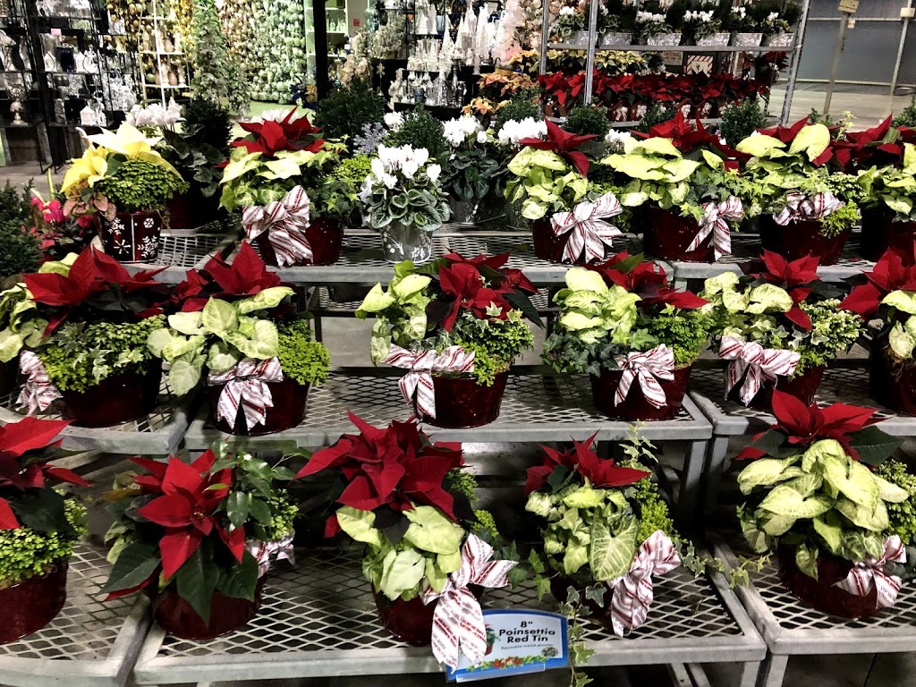 Vandermeer Nursery & Garden Centre | 588 Lake Ridge Rd S, Ajax, ON L1Z 1X3, Canada | Phone: (905) 427-2525