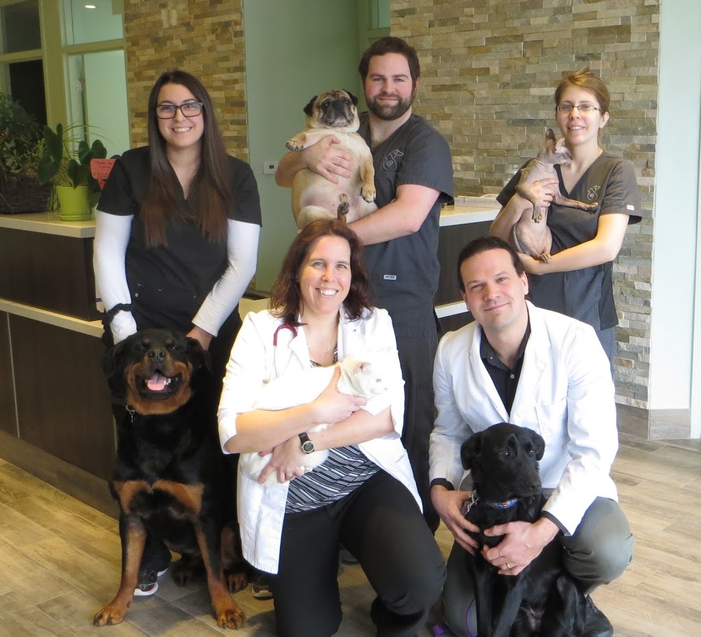 The Hamlet Veterinary Hospital | 2592 Innes Rd, Gloucester, ON K1B 4Z6, Canada | Phone: (613) 837-7387