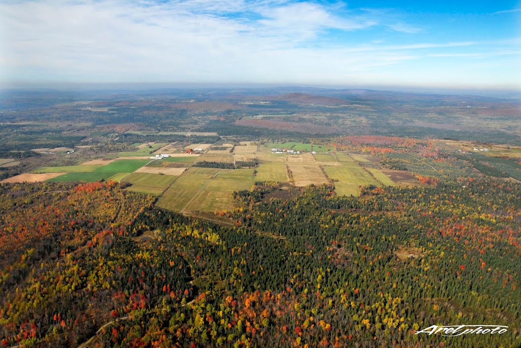 SNG Foresterie-conseil inc. | 2430 Rue Notre Dame O, Victoriaville, QC G6T 2E2, Canada | Phone: (819) 758-1693