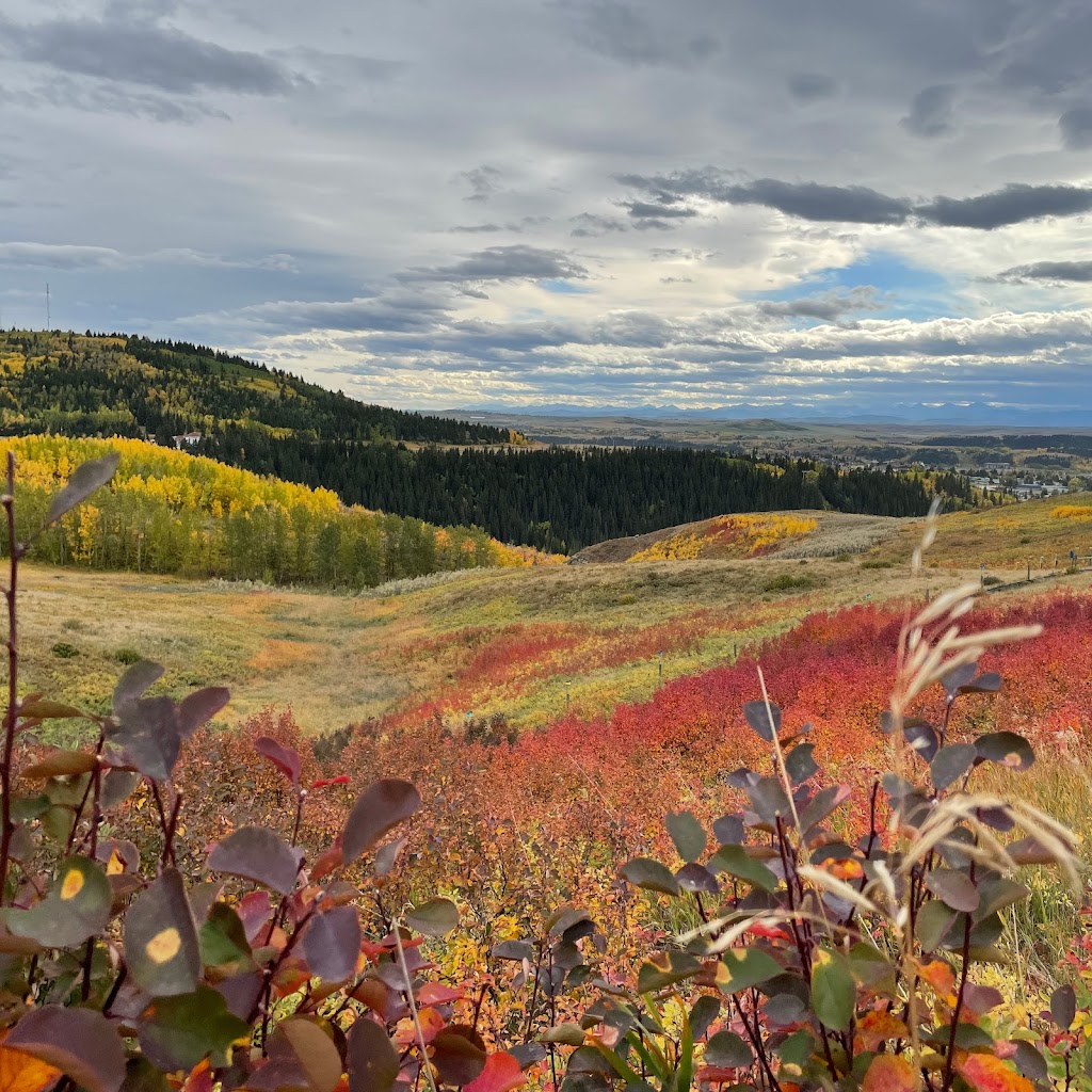 Still Lake Listening | 192 Sundown Rd, Cochrane, AB T4C 2M5, Canada | Phone: (403) 613-5241