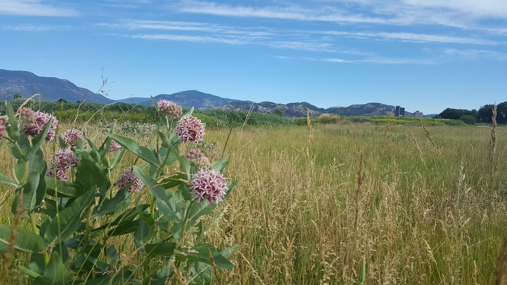 Munson Pond Park | South Pandosy - K.L.O., Kelowna, BC V1W, Canada