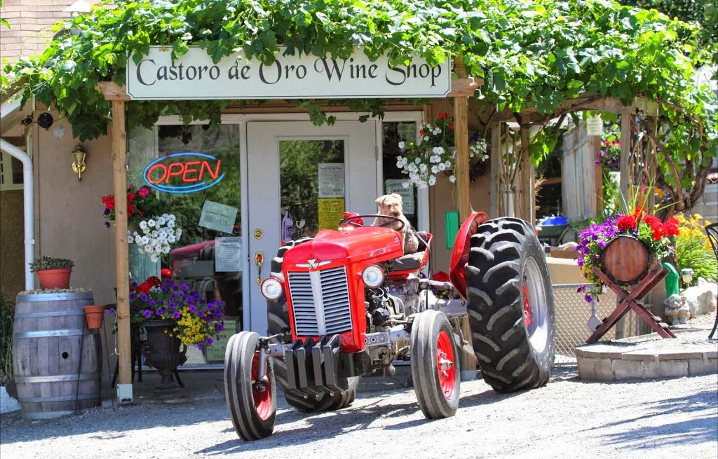 Castoro de Oro Estate Winery | 4004 BC-97, Oliver, BC V0H 1T1, Canada | Phone: (250) 495-4991