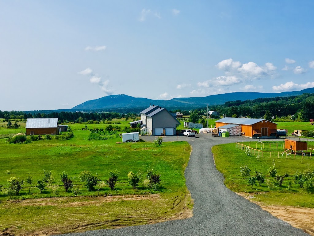 Les Canardises (Ferme) | 5170 Av. Royale, Saint-Ferréol-les-Neiges, QC G0A 3R0, Canada | Phone: (418) 826-2112