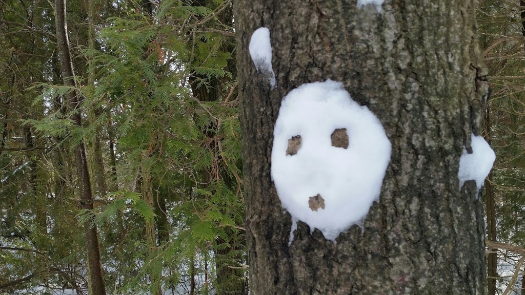 Seaton Trail | Seaton Hiking Trail, Pickering, ON L0H, Canada