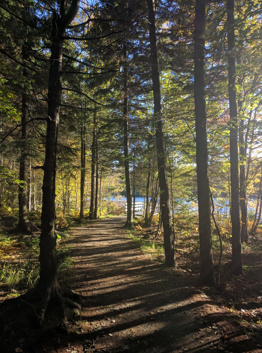 Oat Hill Lake Park | Dartmouth, NS B2Y, Canada