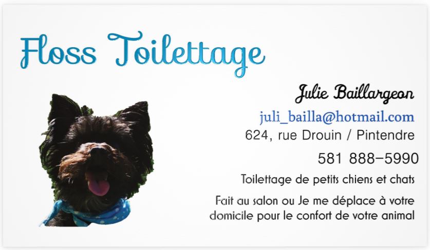 Floss Toilettage | 624 Rue Drouin, Pintendre, QC G6C 1L8, Canada | Phone: (581) 888-5990