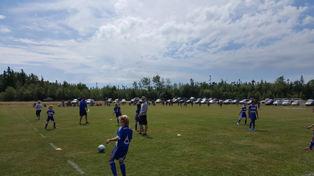 Eastern Eagles Soccer Complex | 117 Douses Rd, Lower, Montague, PE C0A 1R0, Canada | Phone: (902) 838-3480