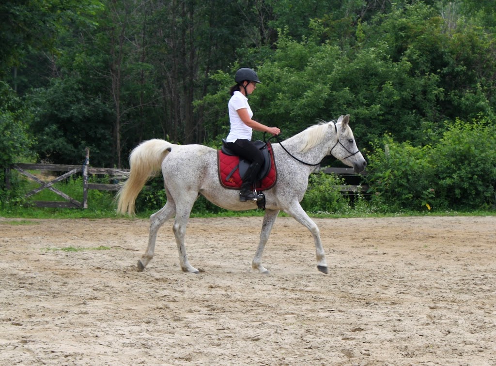 Equestrian Riding Center Bonanza | 65 Chem. de lÉquerre, Laval, QC H7L 1W3, Canada | Phone: (450) 625-6031