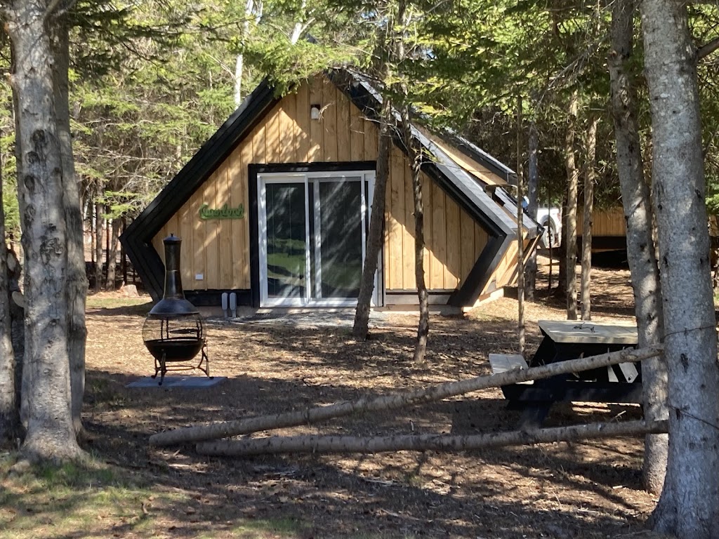 Wild Pines Cabins | 106 Selkirk Park Rd, Belfast, PE C0A 1A0, Canada | Phone: (902) 659-2266