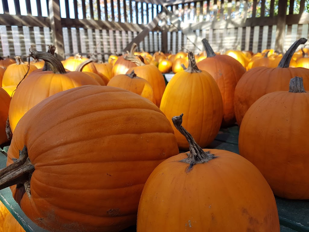 Averys Farm Market Ltd | 198 Beaver Bank Rd, Beaver Bank, NS B4E 1J7, Canada | Phone: (902) 864-8316