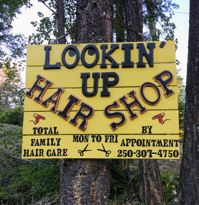 Lookin Up Hair Shop | 542 Moody Cres, Vernon, BC V1H 2C8, Canada | Phone: (250) 307-4750