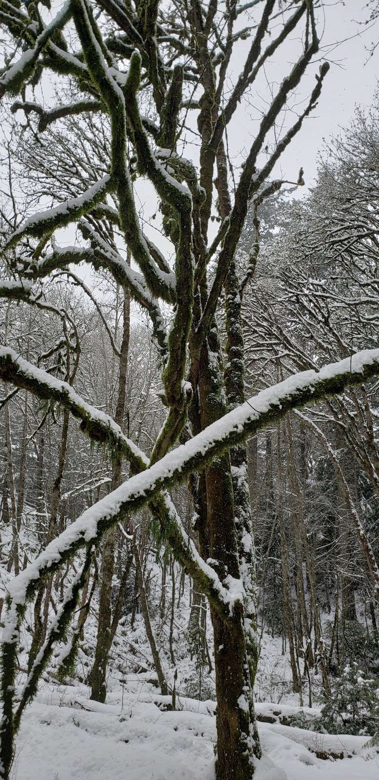 Goldstream Nature House | 3400 Trans-Canada Hwy, Victoria, BC V9B 6H6, Canada | Phone: (250) 478-9414