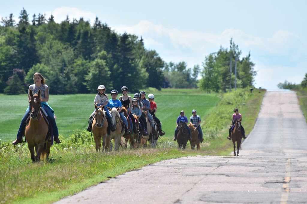 Venture Stables Equine Assisted Learning Center | 124 Campbell Rd, Freetown, PE C0B 1L0, Canada | Phone: (902) 247-0195