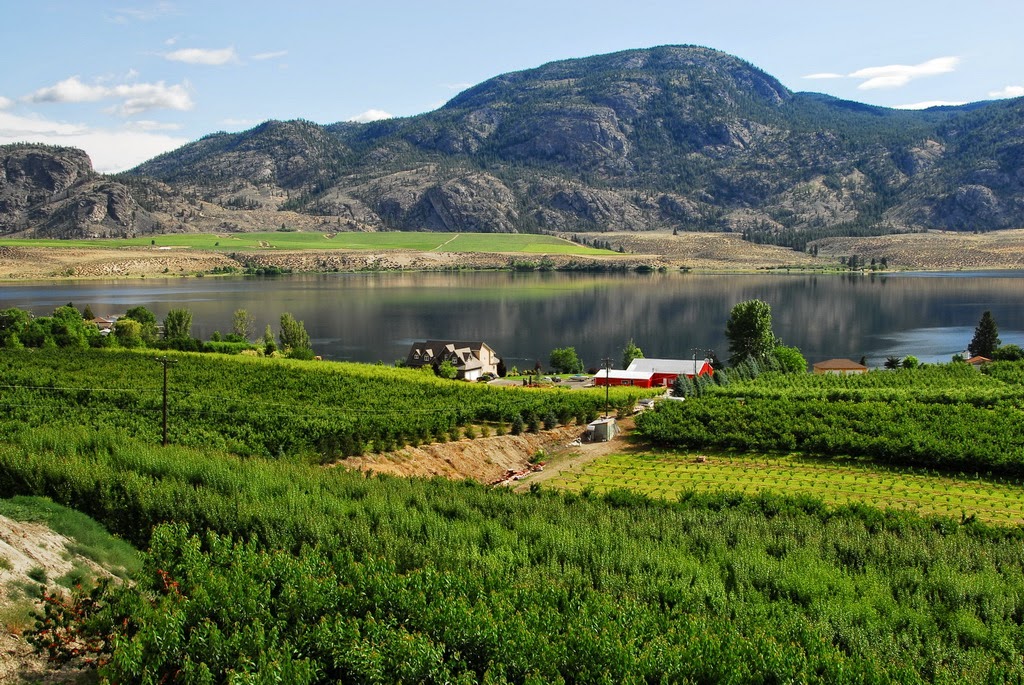 Ciliegia Villa | 12795 87 St, Osoyoos, BC V0H 1V2, Canada | Phone: (250) 495-7155