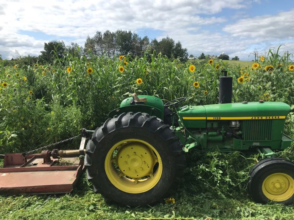 Ferme de lodyssée | de, 845 Rang du Petit Saint Esprit, Sainte-Monique, QC J0G 1N0, Canada | Phone: (819) 448-2383