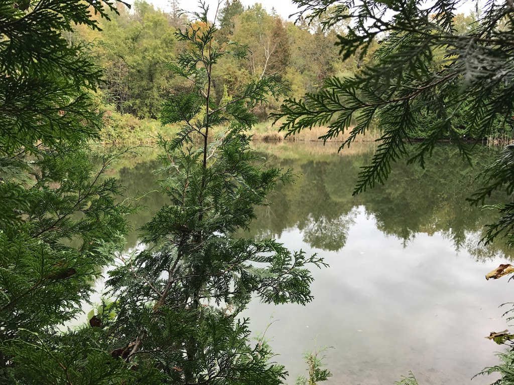 Welsh Tract - Forest Of The Secret Pond Trail | 3741-4367 Line 12, Cookstown, ON L0L 1L0, Canada