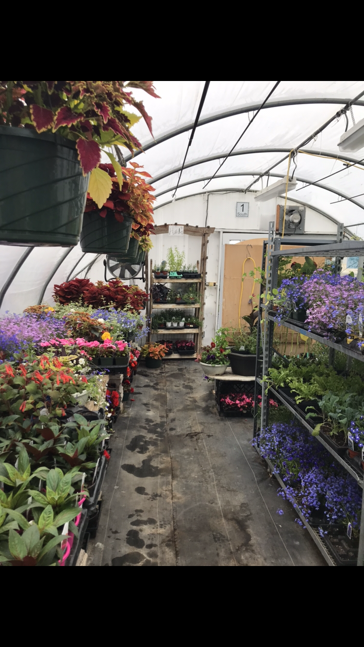 The Planted Earth Greenhouses | 38116 Range Road 13, AB T4E 0J8, Canada | Phone: (403) 887-5203