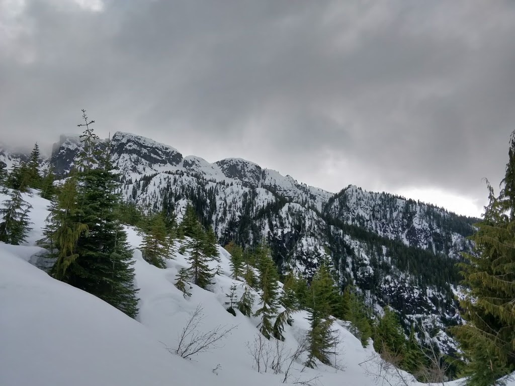 Skyline Ridge Trail | Unnamed Road, Britannia Beach, BC V0N 1J0, Canada