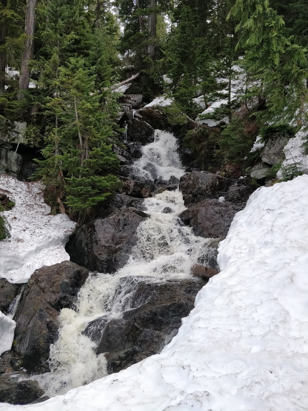 Elfin Lake Trailhead | Diamond Head Trail, Whistler, BC V0N 0A0, Canada | Phone: (800) 689-9025