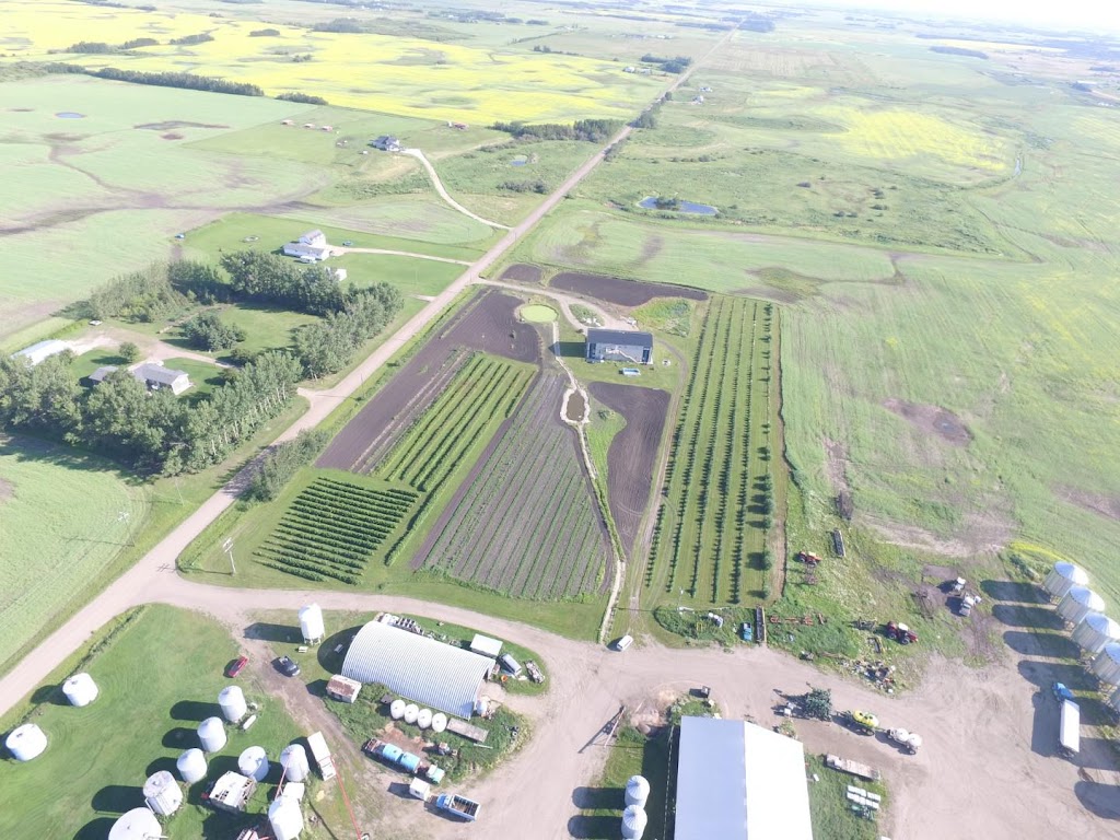 Boissonneault family farms | 55314, Range Rd 255, AB T8R 2M6, Canada | Phone: (780) 235-6984