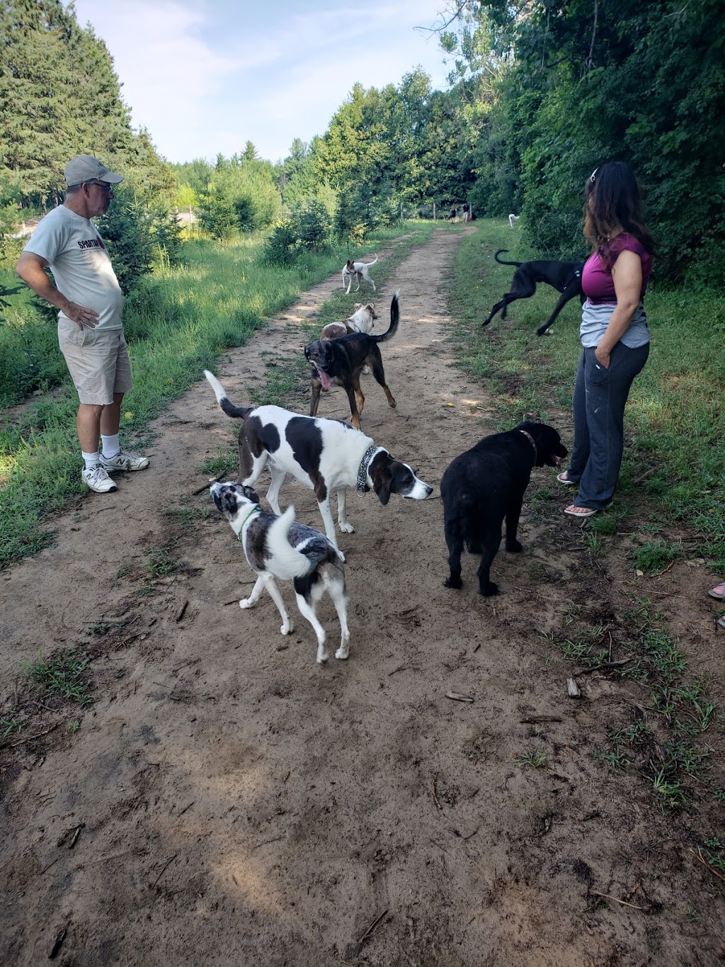 Ferguson Forest Dog Park | Honour Way, Kemptville, ON K0G 1J0, Canada