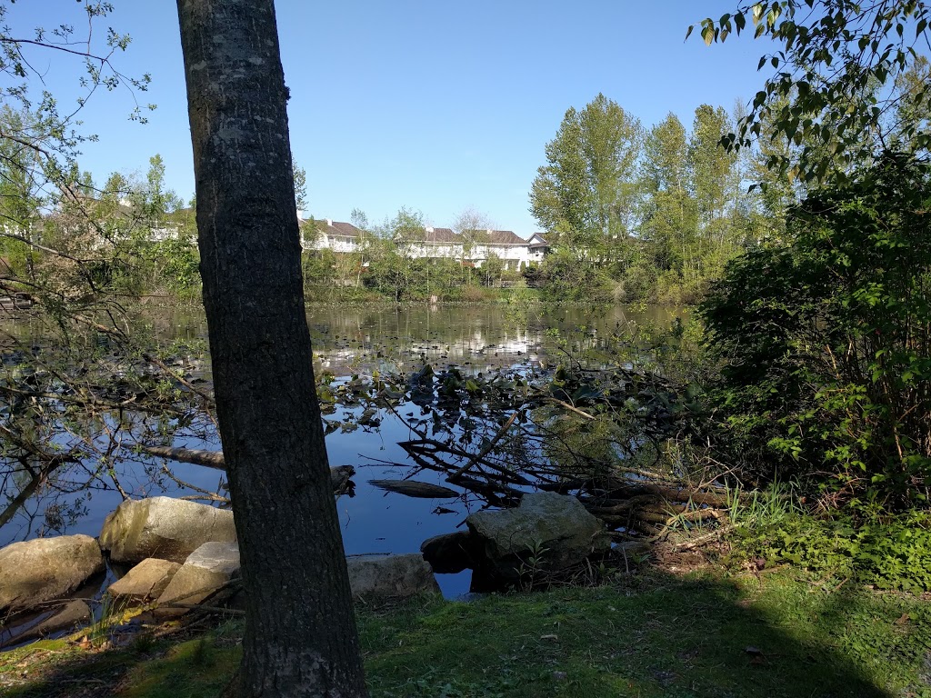 Ponderosa Park | Upper MacLure Rd, Abbotsford, BC V2T 5S6, Canada
