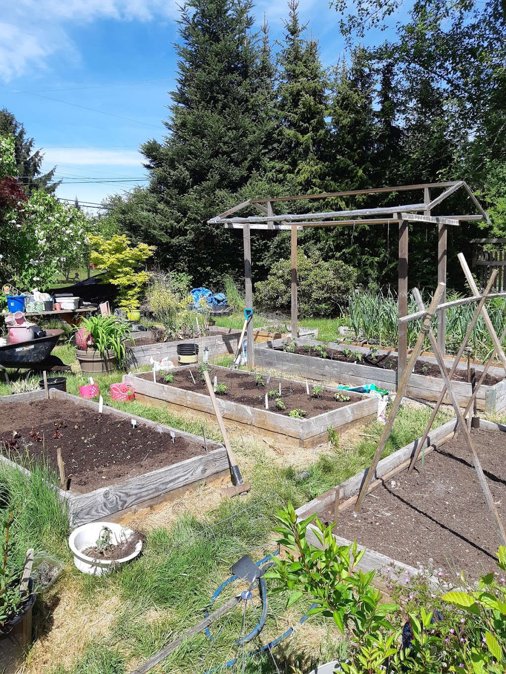 Barefoot Gardens | 2821 Maryport Ave, Cumberland, BC V0R 1S0, Canada | Phone: (604) 313-5007