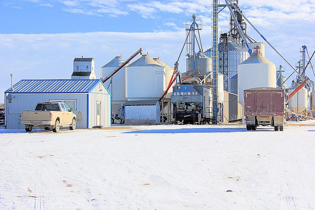 Robertson Seed Cleaning | 500 S Railway Ave, Indian Head, SK S0G 2K0, Canada | Phone: (306) 695-0339