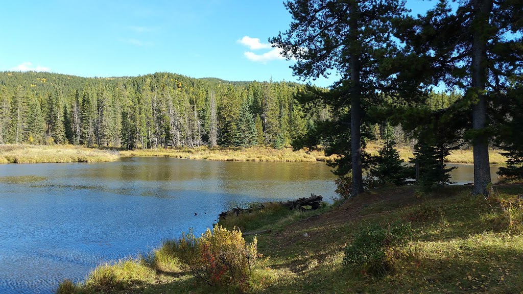 McLean Pond Day Use Area | 285 McLean Creek Trail, Bragg Creek, AB T0L 0K0, Canada