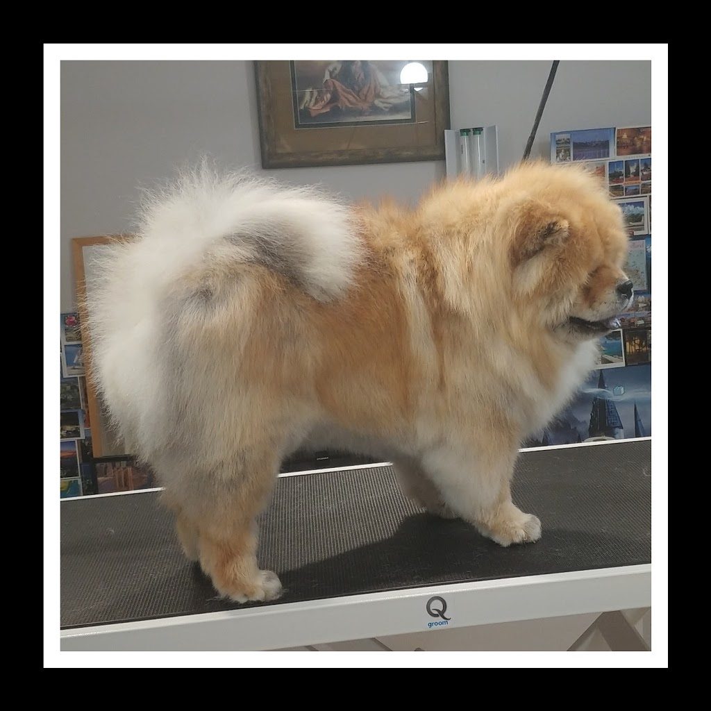 Dog&Cat Grooming in Newmarket, Ontario | Burgess Crescent, Newmarket, ON L3X, Canada | Phone: (905) 392-7467