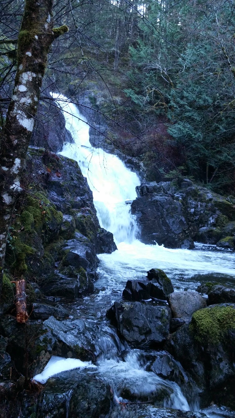 Sooke Potholes Provincial Park | Sooke River Rd, Sooke, BC V9Z 0Y1, Canada | Phone: (250) 474-1336