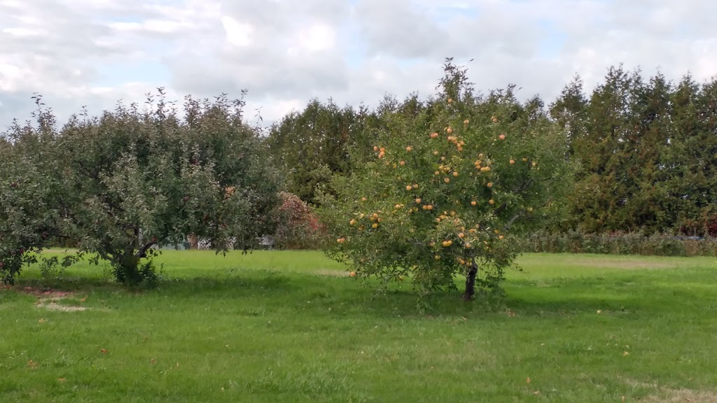 Dunnett Orchards | 143 Dundas St, Brighton, ON K0K 1H0, Canada | Phone: (613) 475-0465