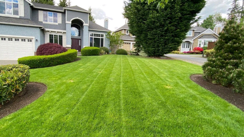 Johnnys Lawn Care & Landscaping | 275 Innovation Dr, Bedford, NS B4B 0N9, Canada | Phone: (902) 240-5024