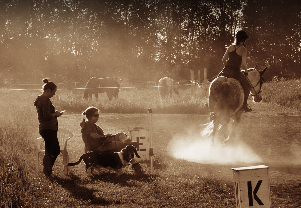 Manège Du Centaure Equestrian Center And School Déquitation | 210 Chemin du Grand-Pré, Saint-Jean-sur-Richelieu, QC J2Y 1J5, Canada | Phone: (450) 358-5559