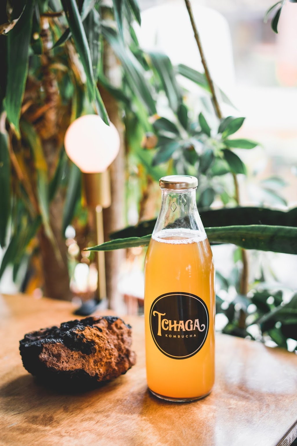 Tchaga Kombucha | 4870 Boulevard Industriel, Sherbrooke, QC J1L 2K7, Canada | Phone: (819) 416-5873