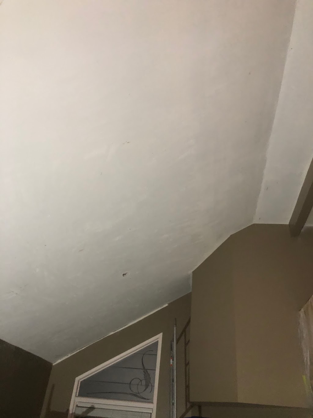 Popcorn Ceiling removal Burlington | 3321 Mainway, Burlington, ON L7M 1A6, Canada | Phone: (647) 794-4469