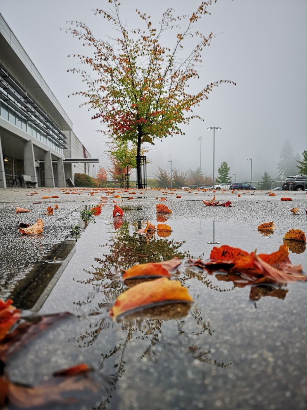 Heritage Woods Secondary School | 1300 David Ave, Port Moody, BC V3H 5K6, Canada | Phone: (604) 461-8679