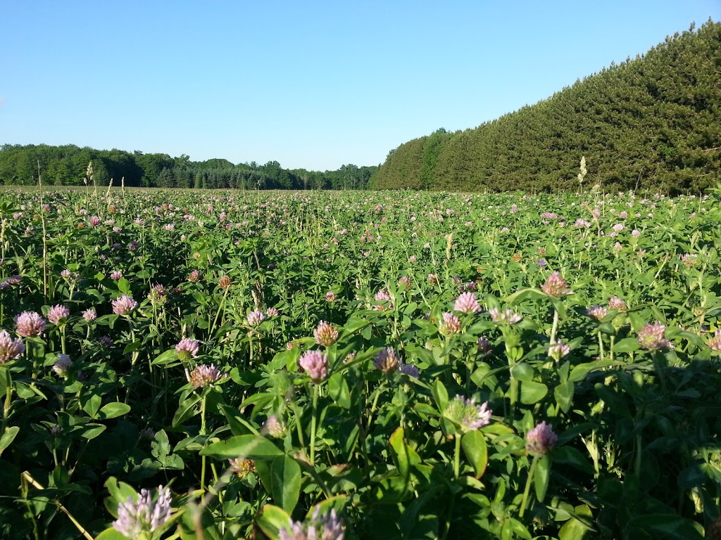 Ferme Inflorescence | 9160 Route des Ormes, Bécancour, QC G9H 3R5, Canada | Phone: (438) 476-3252