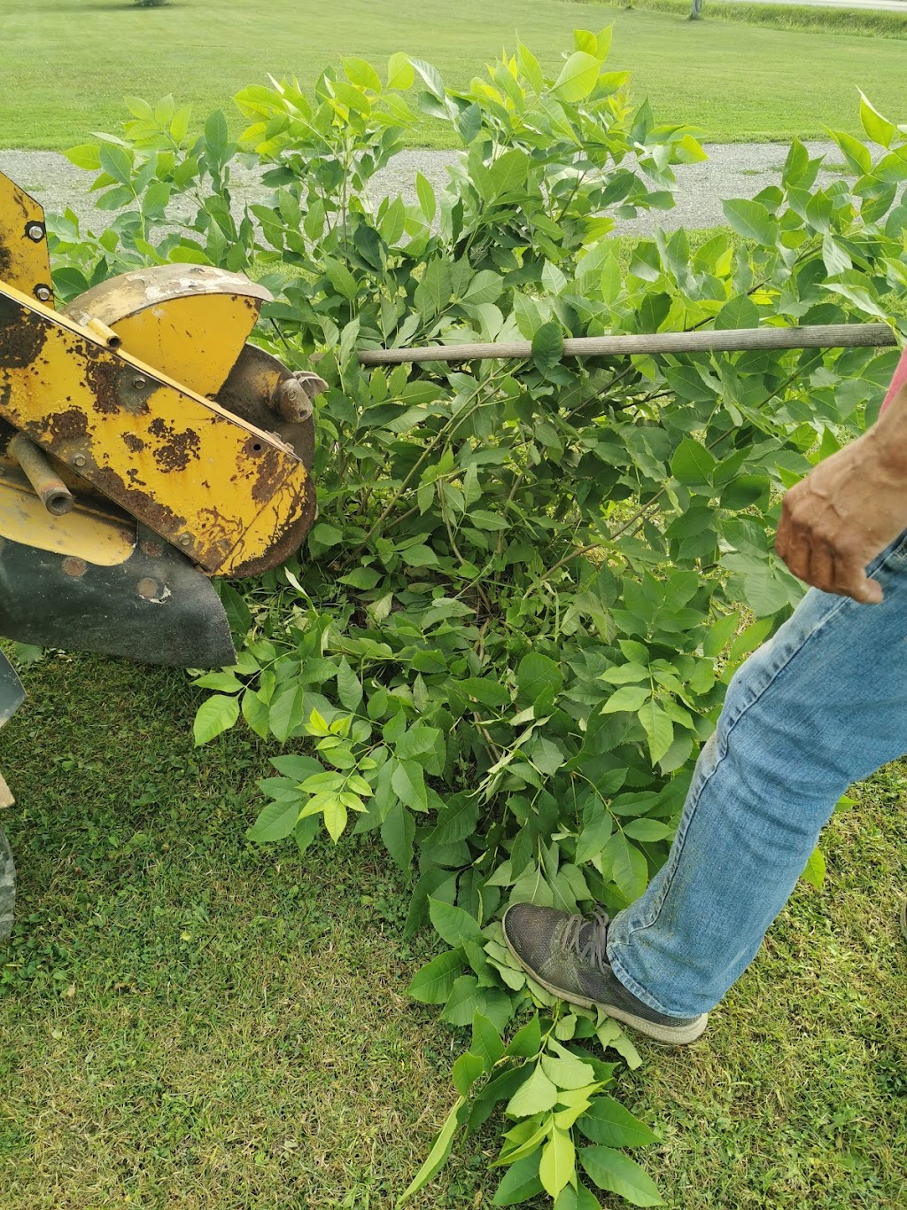 Mudcat Milling & Stump Grinding Services | 2548 Cayuga Rd, Ohsweken, ON N0A 1M0, Canada | Phone: (519) 209-5658