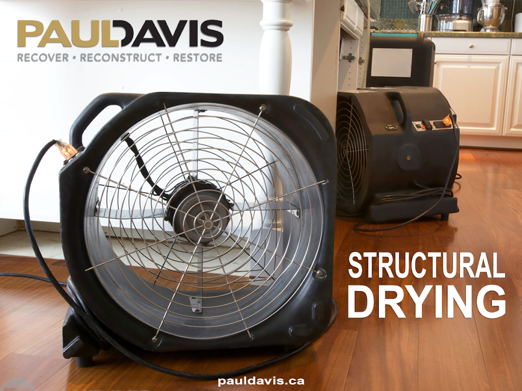 Paul Davis Calgary | 10221 15 St NE Unit 24, Calgary, AB T3J 0T7, Canada | Phone: (403) 696-8886