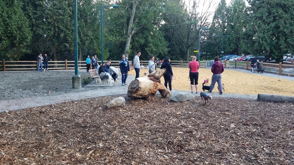 Renfrew Community Park Dog Off-Leash Area | 2929 E 22nd Ave, Vancouver, BC V5M 2Y3, Canada