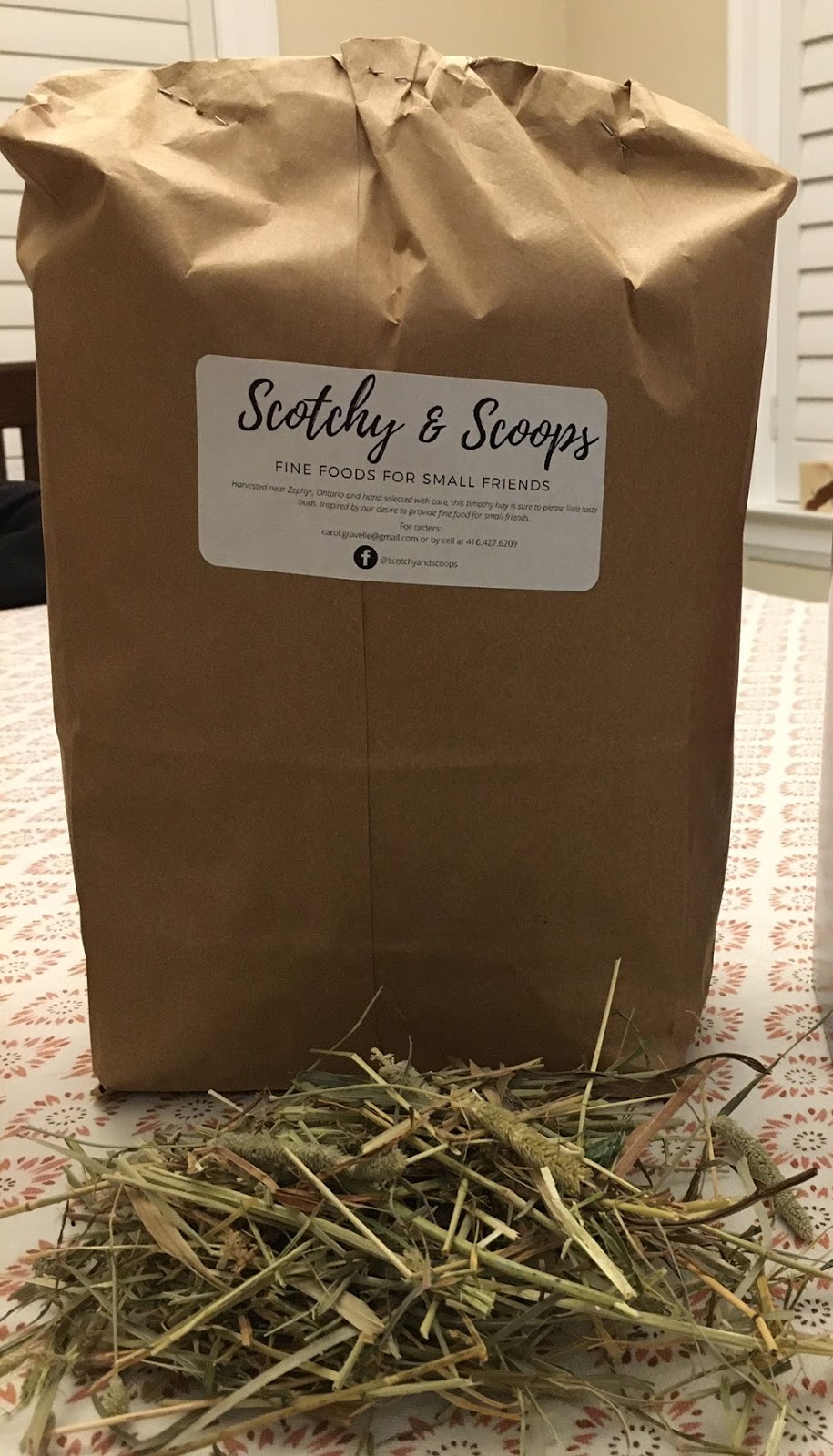 Scotchy & Scoops Fine Foods For Small Friends | 100 Old Yonge St, Aurora, ON L4G 6J2, Canada | Phone: (416) 427-6209