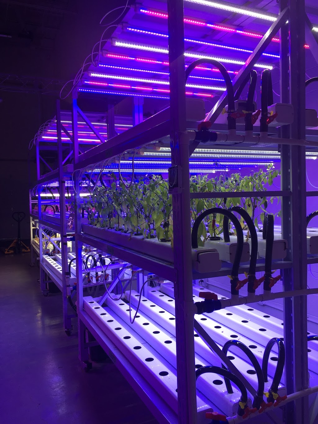 EmersonGrow Technology Inc. | 6 Shields Ct Unit #4, Markham, ON L3R 4S1, Canada | Phone: (905) 766-1119