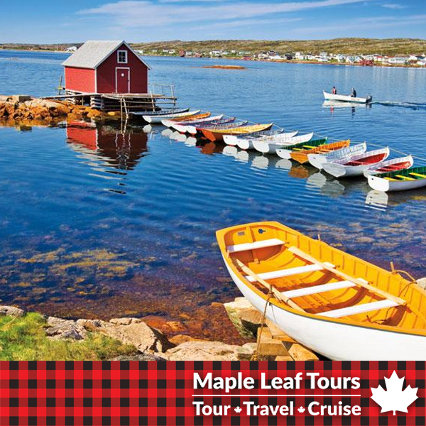 Maple Leaf Tours - Belleville | 81 Millennium Pkwy Unit D, Belleville, ON K8N 4Z5, Canada | Phone: (613) 969-8884