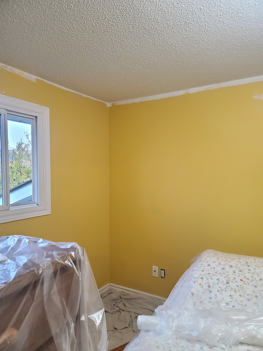 DSW Painting and Decorating | 719 Strathmeyer St, London, ON N5Y 3Z5, Canada | Phone: (519) 670-2663