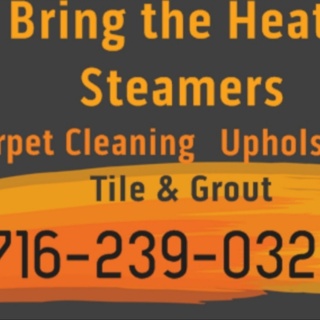 Bring the Heat Steam Cleaners | Williamsville, NY 14221, USA | Phone: (716) 239-0329