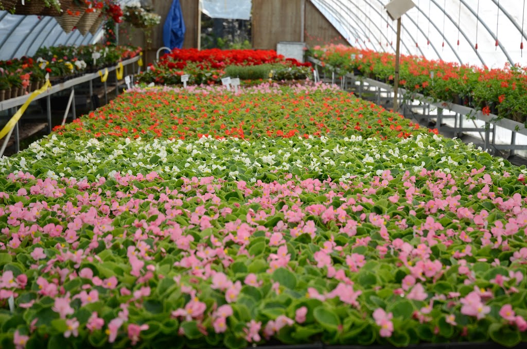 BRACKENRIG NURSERY AND MAINTENANCE | 1015 Brackenrig Centre Rd, Port Carling, ON P0B 1J0, Canada | Phone: (705) 765-6261