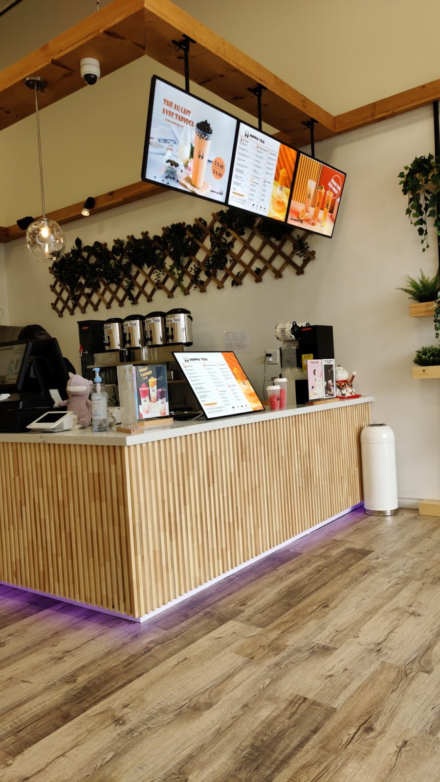 Hippo Tea | 4260 Boulevard des Forges, Trois-Rivières, QC G8Y 1W3, Canada | Phone: (819) 693-8700