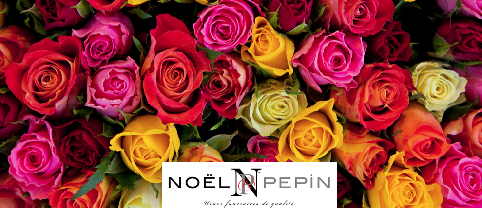 Noël & Pepin | 182 Chemin Fairview, Dewittville, QC J0S 1C0, Canada | Phone: (450) 677-7000